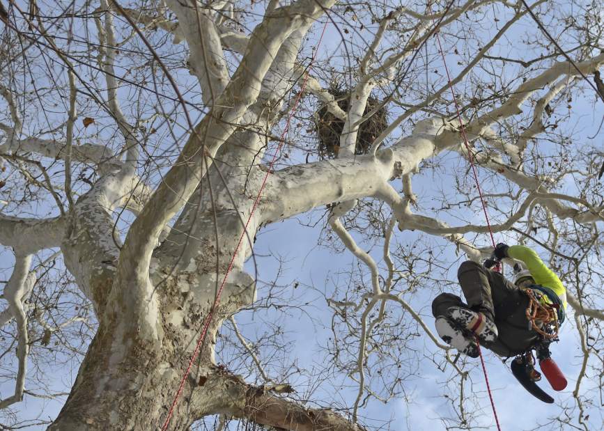 vndneweaglecam1216173