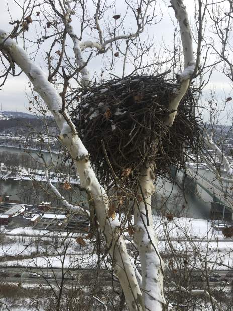 vndneweaglecam1216178