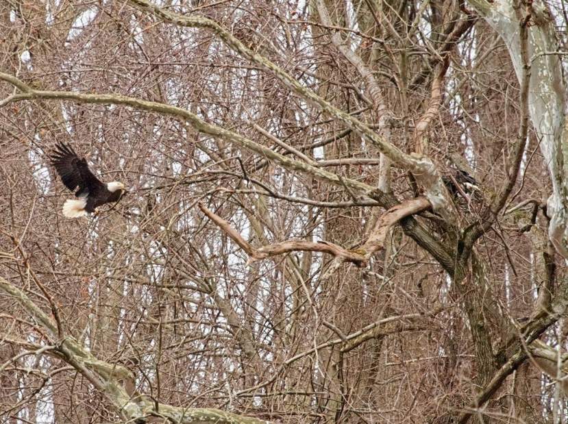 Slide 
													
													1