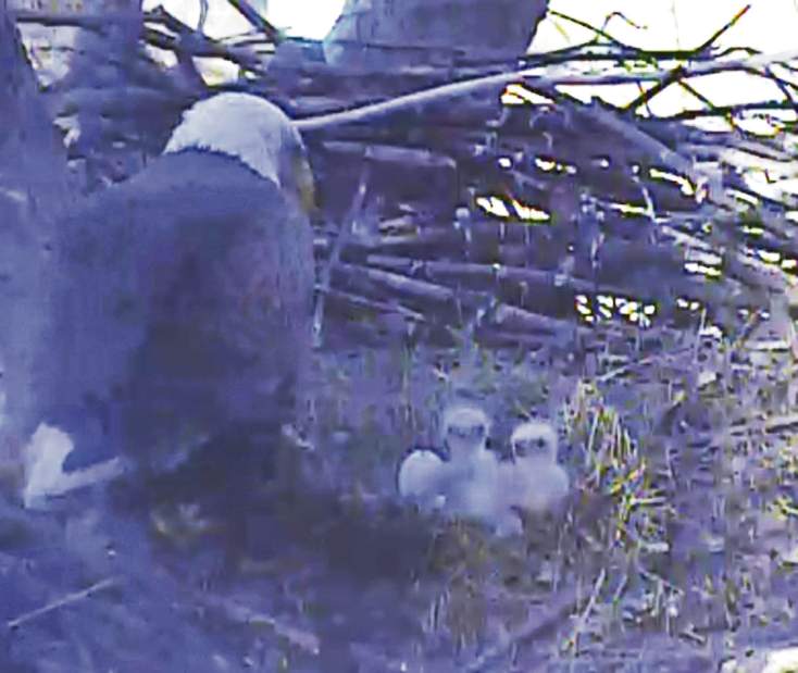 Slide 
													
													2