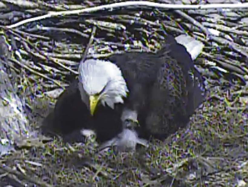 Slide 
													
													1