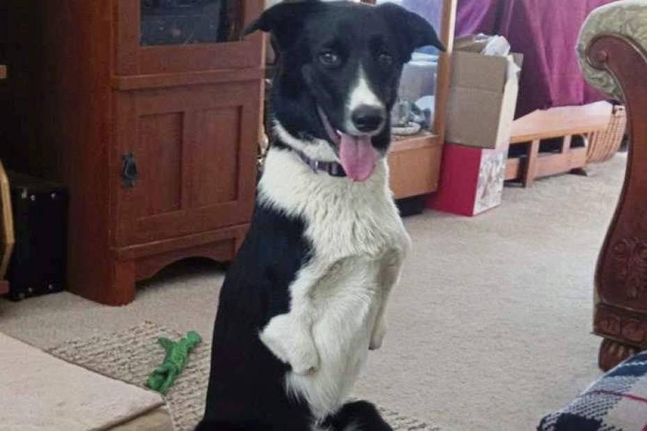 Slide 
													
													2