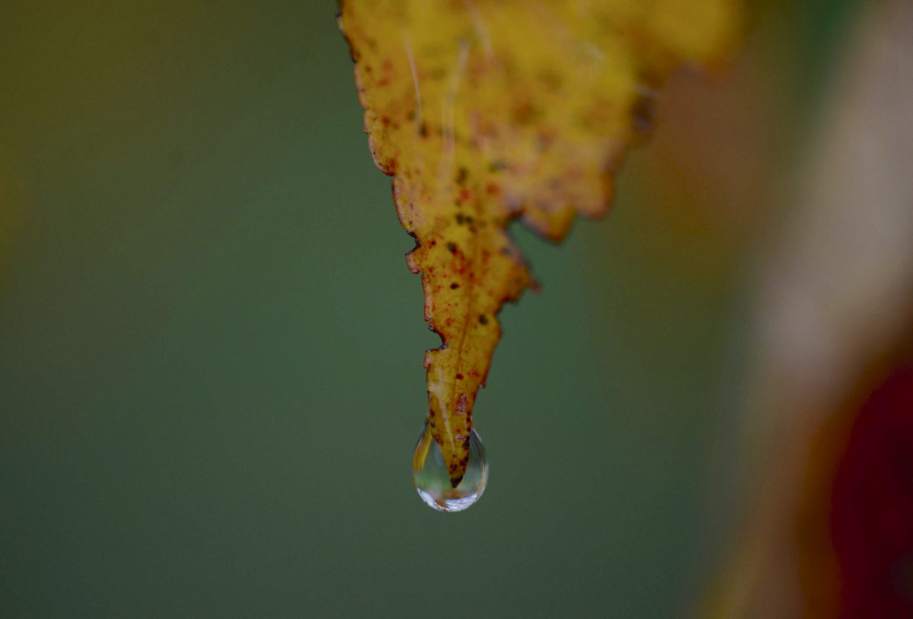 Slide 
													
													1