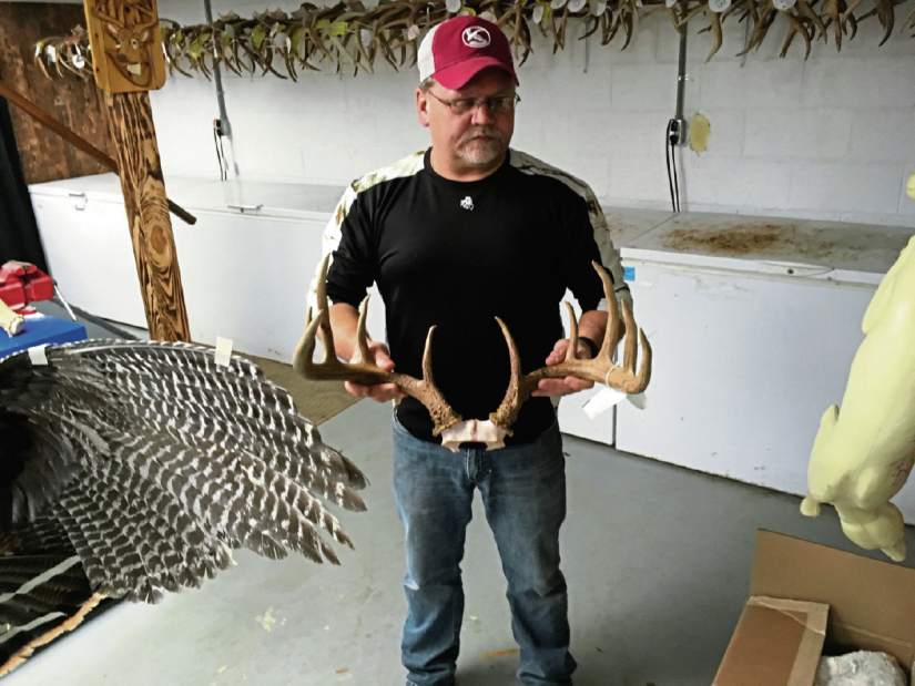 481270GregBosichtaxidermist 481270GregBosichtaxidermist