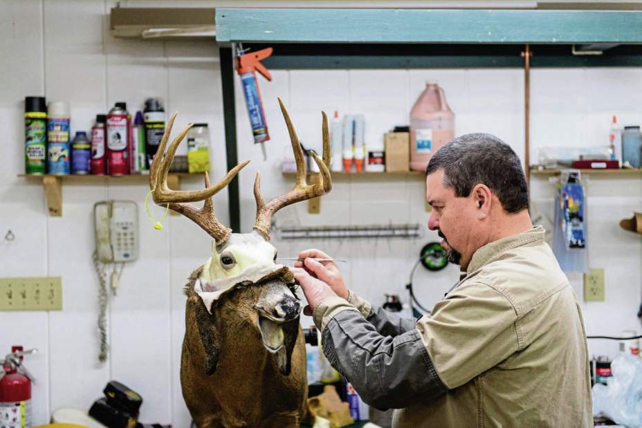 481270gtrtaxidermists007120618 481270gtrtaxidermists007120618