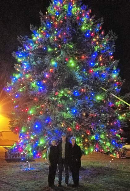 503780vndharrisontree3120418