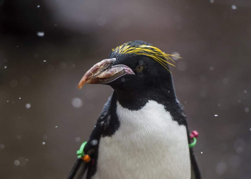 Slide 
													
													6