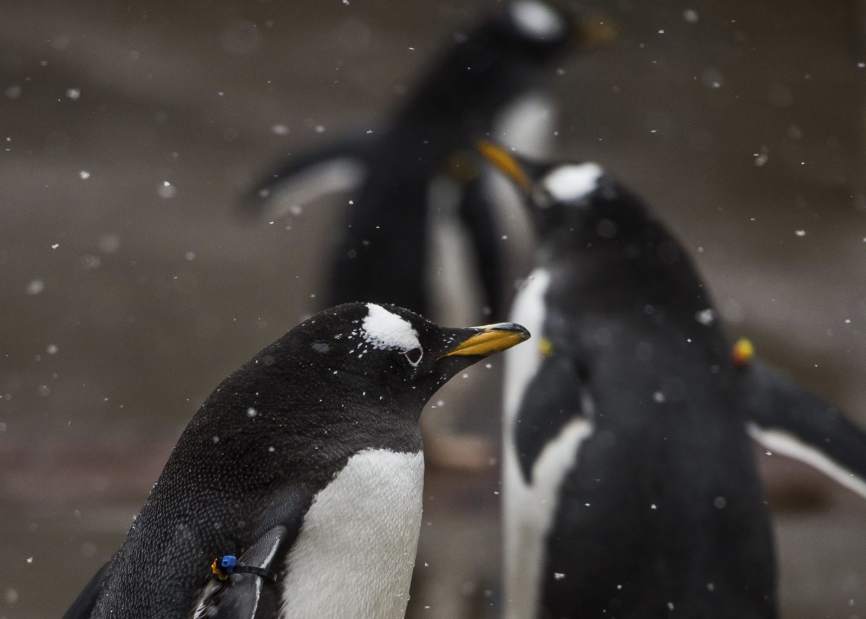 Slide 
													
													1