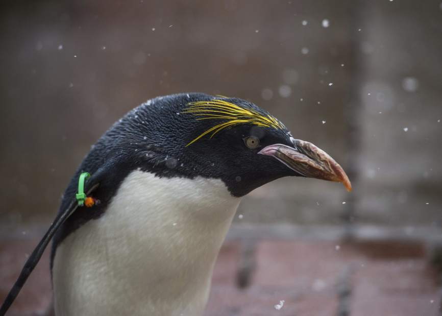 Slide 
													
													3