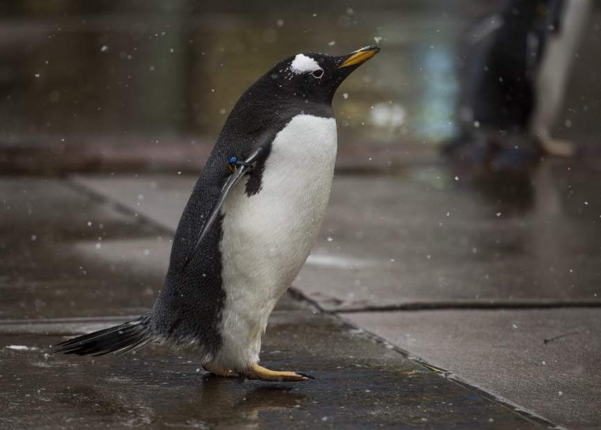 Slide 
													
													2