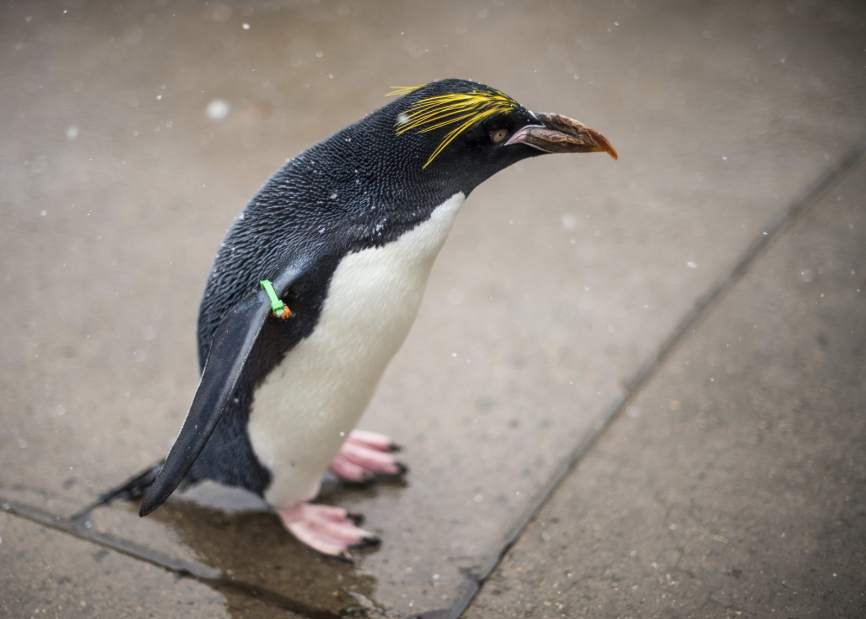 Slide 
													
													4