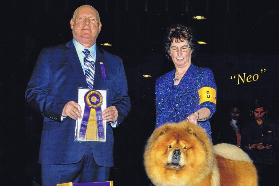 dog show non sporting group