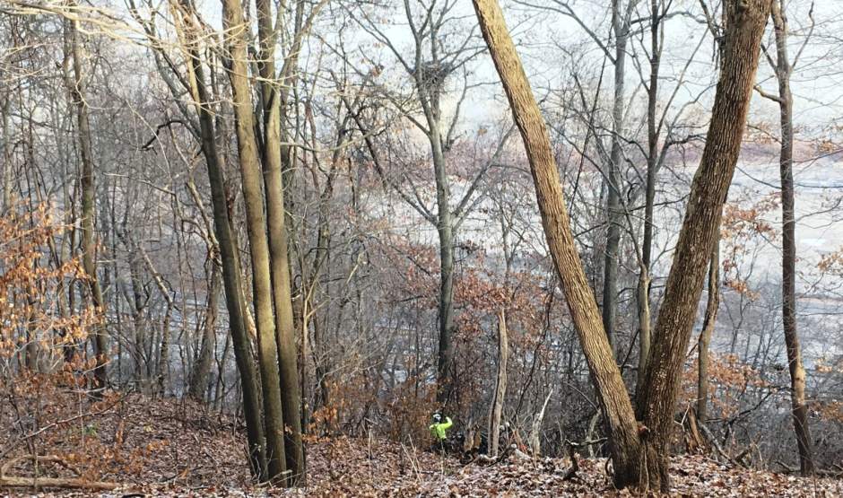 555792ptrnestwithaview5122018