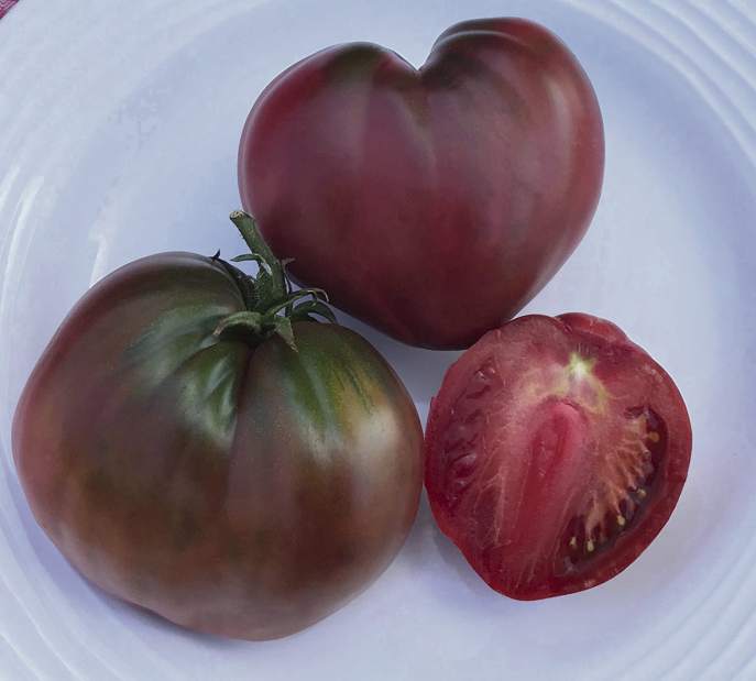 gtrliv535heirloom6020119