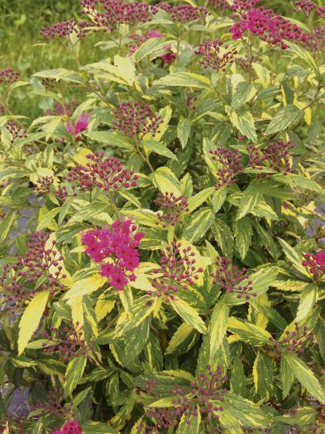 Slide 
													
													3