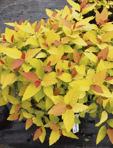 Slide 
													
													4