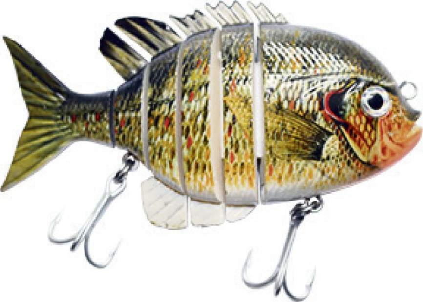 Outdoors Xtras: Dry backpacking, wiggling crankbait and squirrel wings
