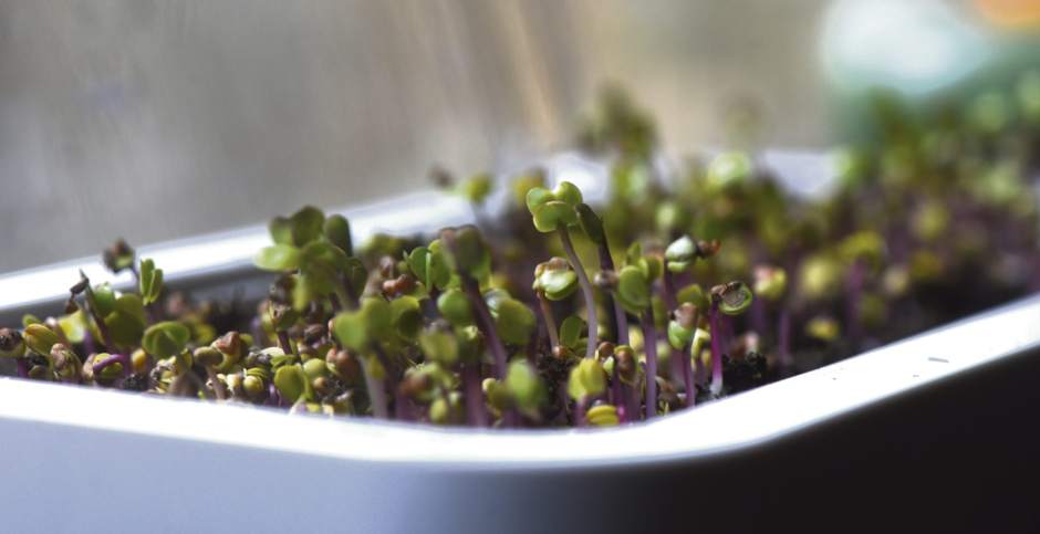 Checklist will have you ready for spring