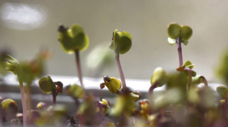 Slide 
													
													5