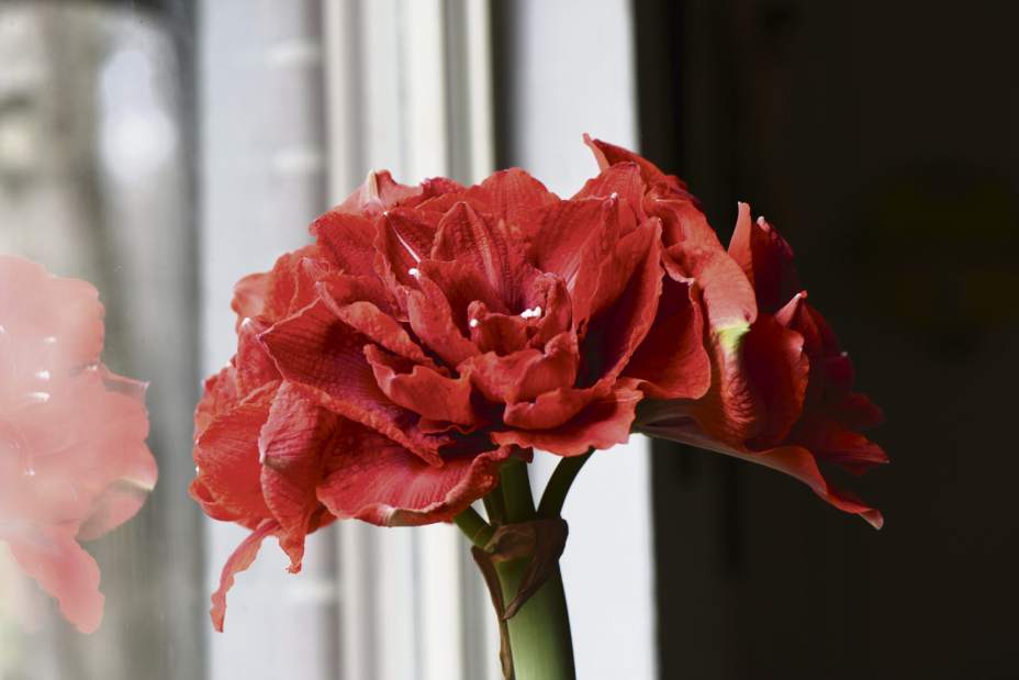 Slide 
													
													3