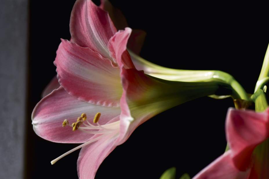 Slide 
													
													4