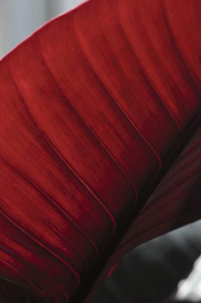 Slide 
													
													2