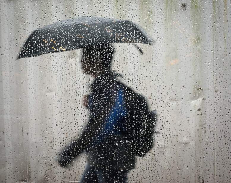 157157PTRLORAIN100814jpg