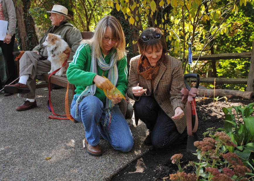 MJGarden4102512jpg