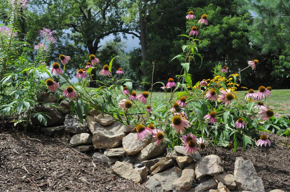 NJBYHabitat3082715jpg