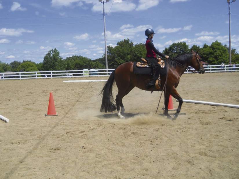 NJHORSEMEN2072116jpg
