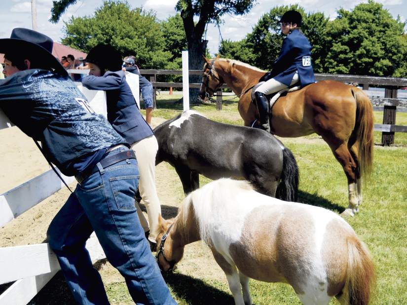 NJHORSEMENS05072116jpg