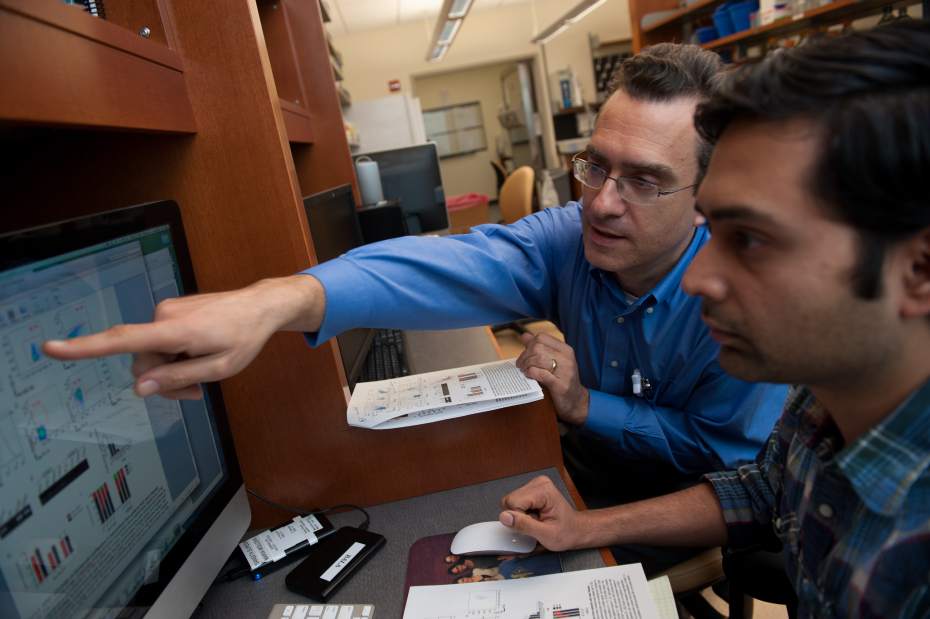 PTRHEARTDOC21129141jpg