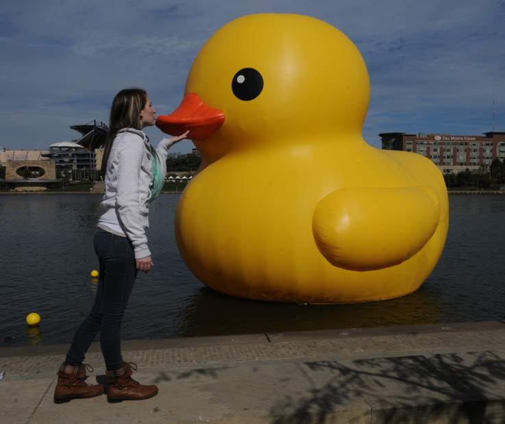 PTRLIVDUCKPIX1101213jpg