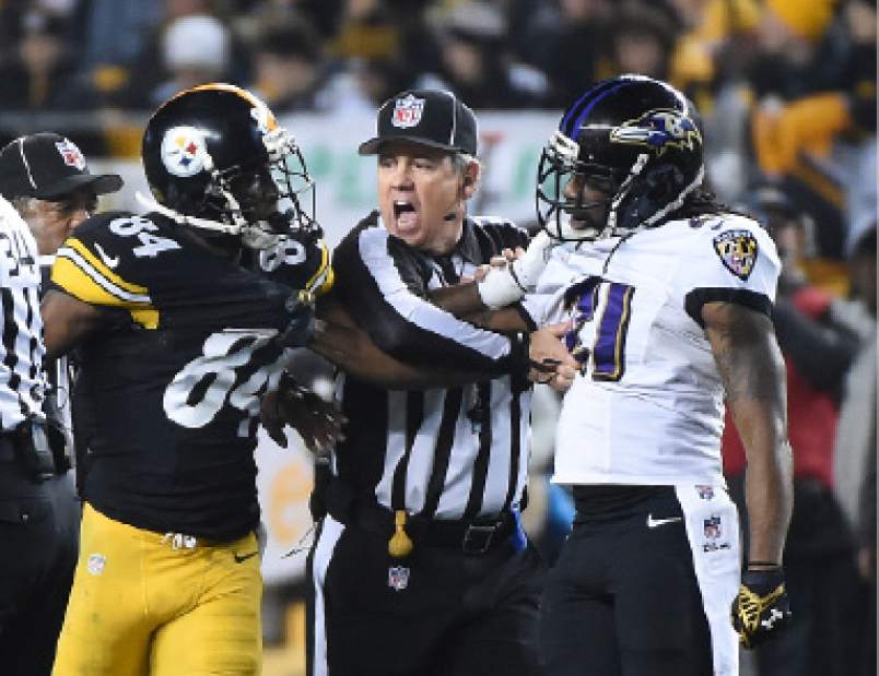 PTRSteelers10010415jpg