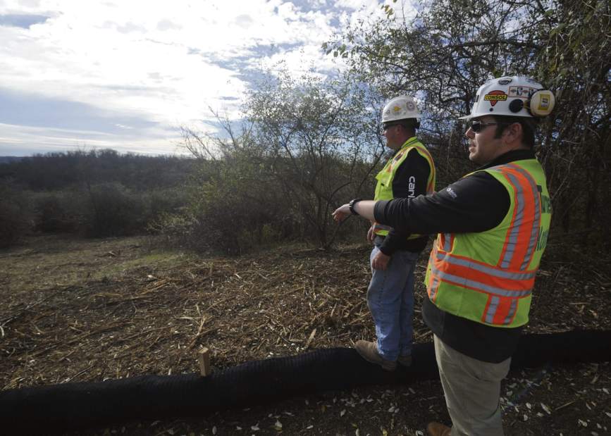 SHRTJSchool3111215jpg