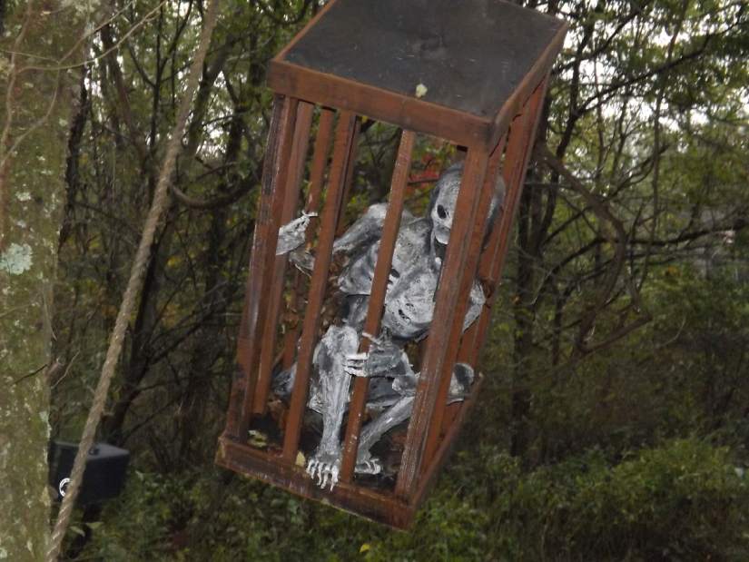 VNDshadows1009177jpg