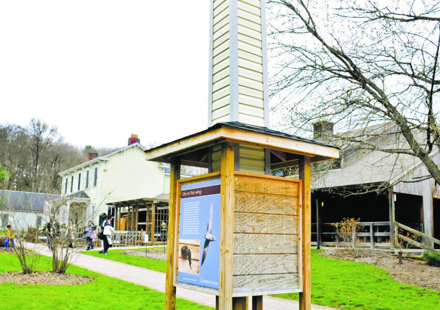 herprojectsBeechwood0324161jpg