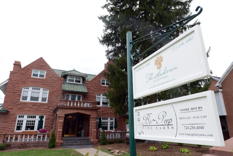 ligthistledown40092613jpg