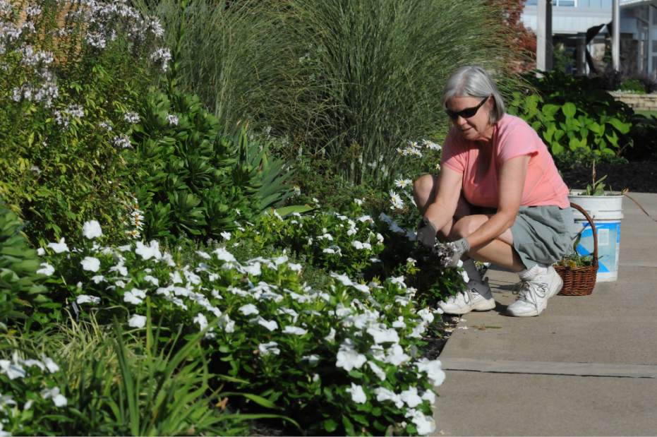 nj65longvue1091715jpg nj65longvue1091715jpg