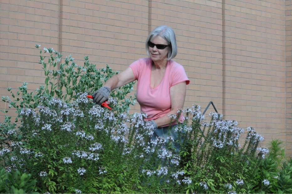 nj65longvue2091715jpg nj65longvue2091715jpg