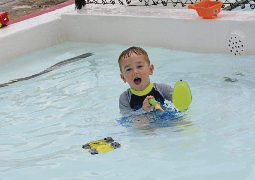 phplorosedale1062217jpg