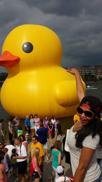 ptrlivducky11015131jpg
