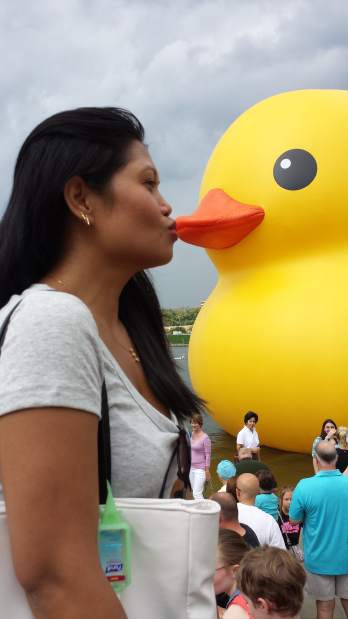 ptrlivducky111101513jpg