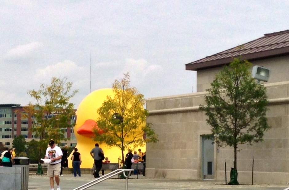 ptrlivducky22101513jpg