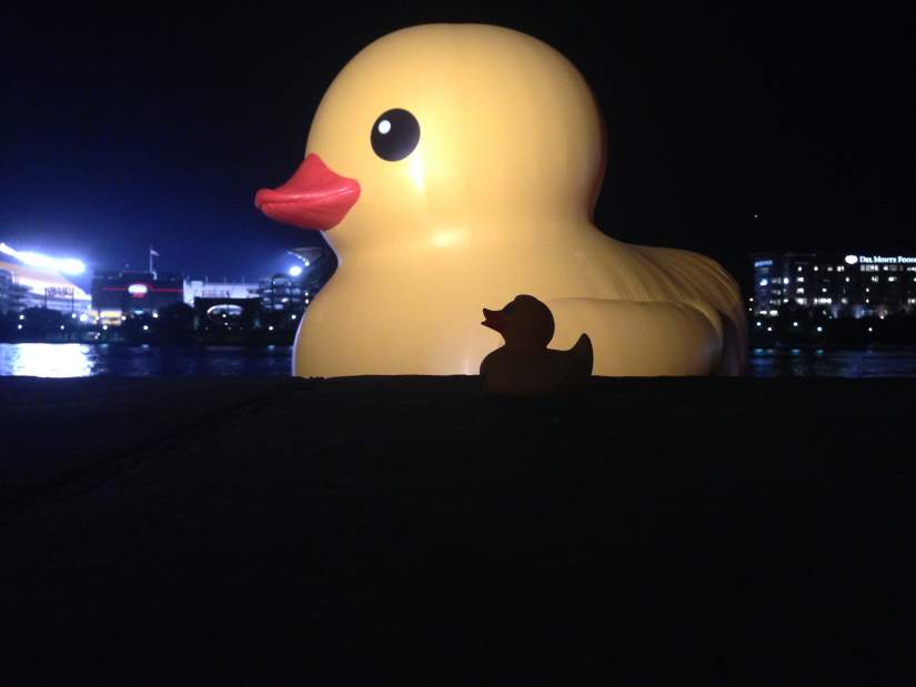 ptrlivducky6101513jpg