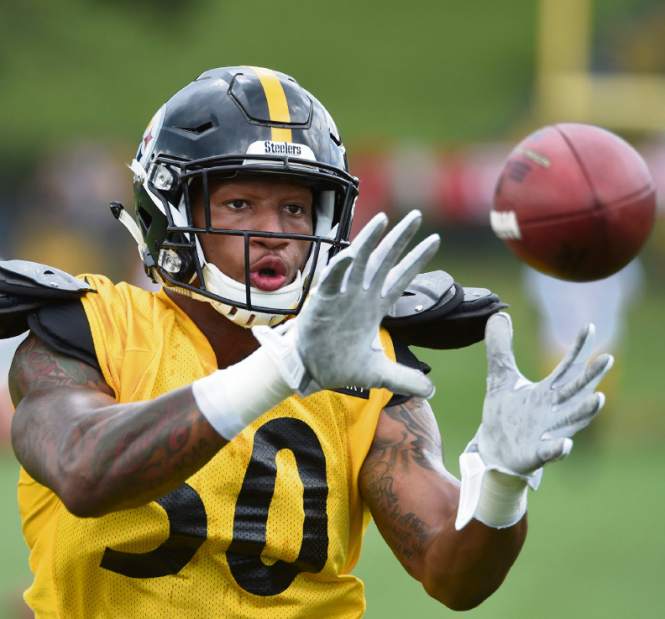 ptrsteelers07080216jpg