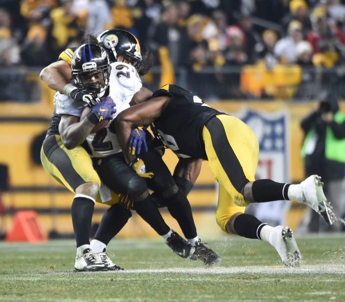 ptrsteelers53010415jpg