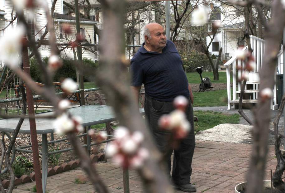 sewItalianGarden3041813jpg