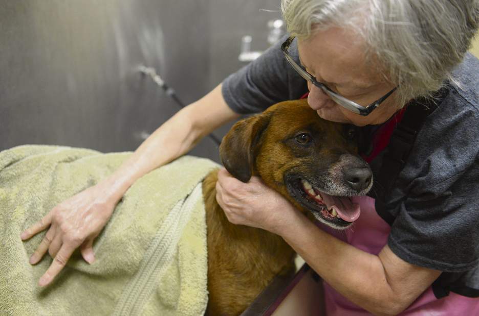 sewNYrescue4010418jpg