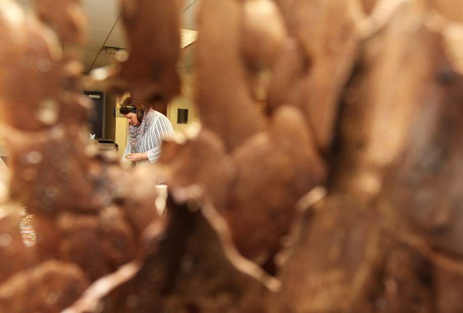 sewfairyhouses1022813jpg